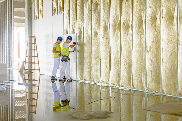 Best Pipe and Duct Insulation  in Shasta Lake, CA